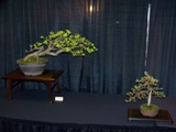Annual Show 2011 - 28 2011